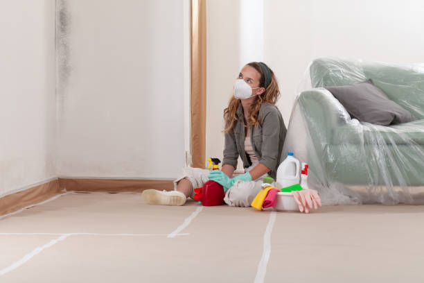 Reliable Mold Inspection And Testing contractor in Marion, TX by Mold Remediation HQ